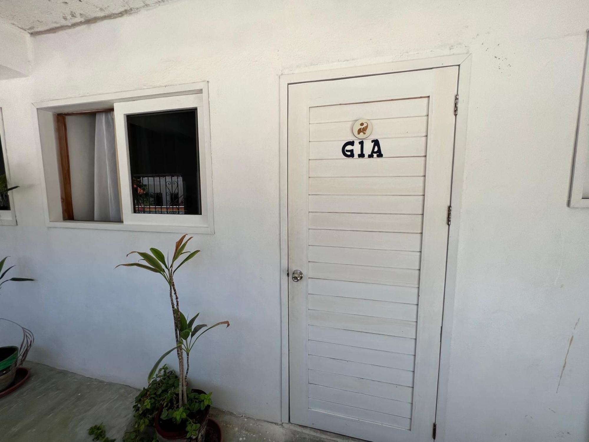 Casa Gajah Hotإل كويو المظهر الخارجي الصورة